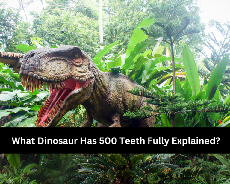 What Dinosaur Has 500 Teeth Fully Explained? | Self Care Advise