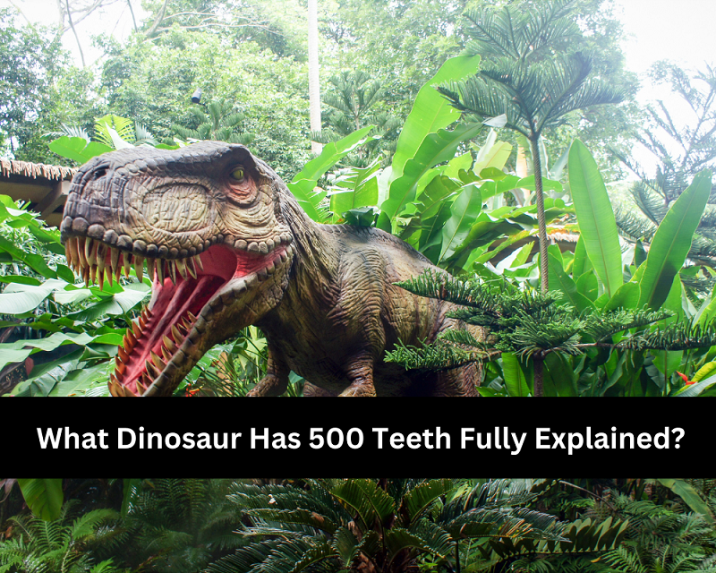What Dinosaur Has 500 Teeth Fully Explained?