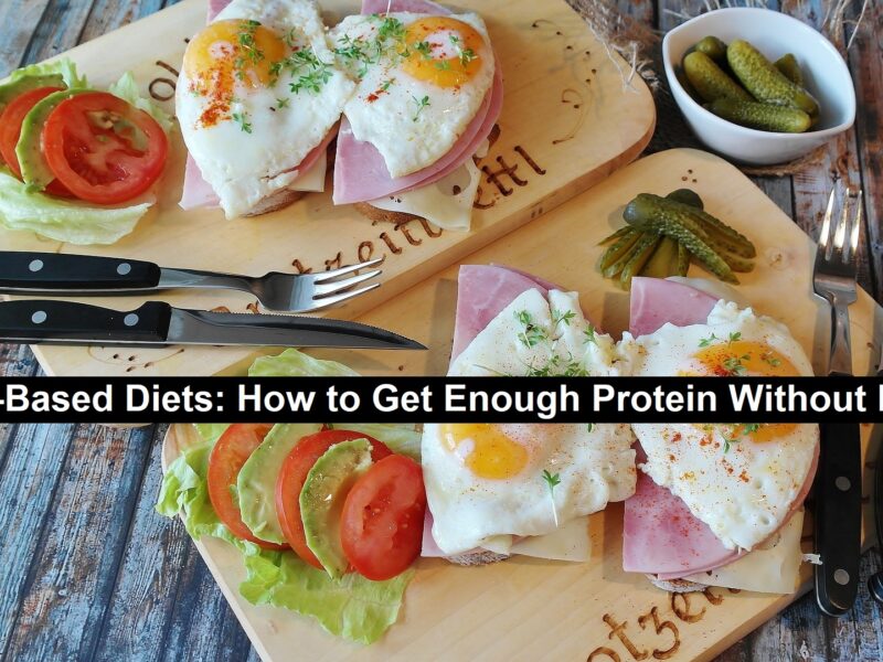 Protein Without Meat