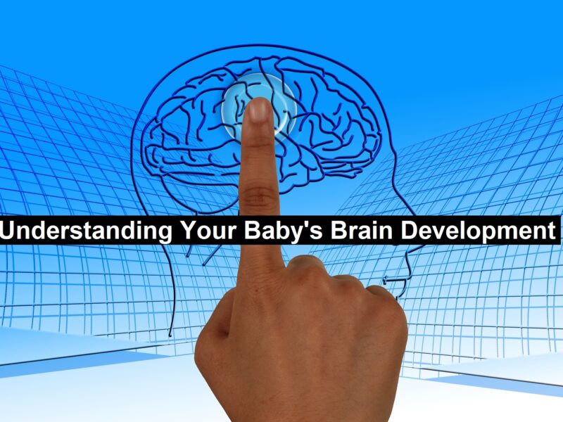 Baby's Brain