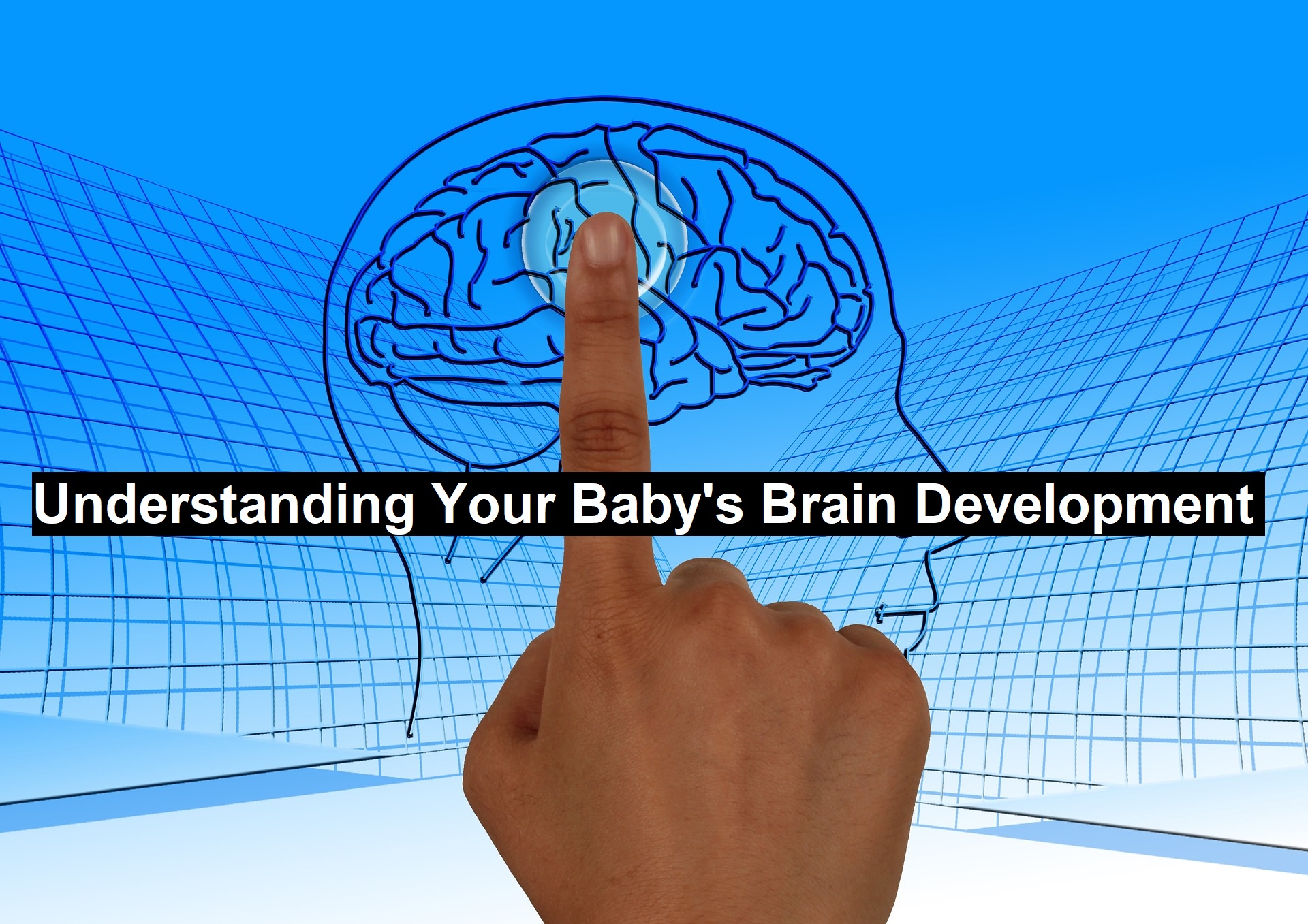 Baby's Brain