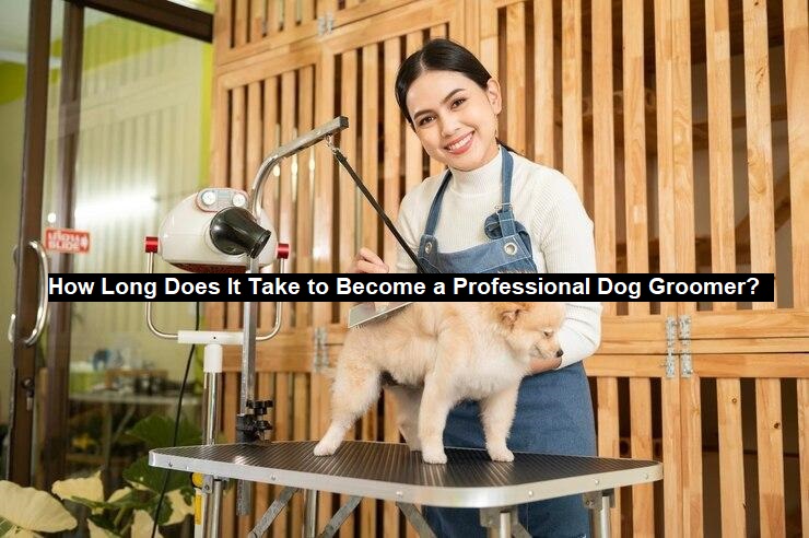 Professional Dog Groomer